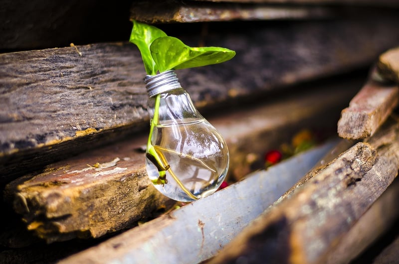 Innovative Upcycling