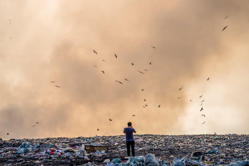 Zero Waste Practices